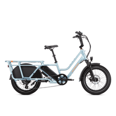 RadWagon 5 Electric Cargo Bike