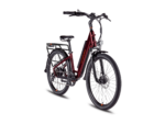 RadRunner 3 Plus Electric Utility Bike