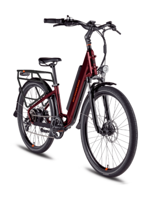 RadRunner 3 Plus Electric Utility Bike