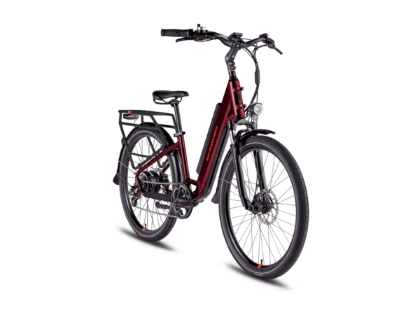 RadRunner 3 Plus Electric Utility Bike