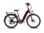 RadRunner 3 Plus Electric Utility Bike