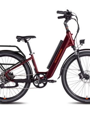 RadRunner 3 Plus Electric Utility Bike