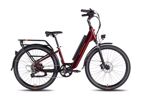 RadRunner 3 Plus Electric Utility Bike