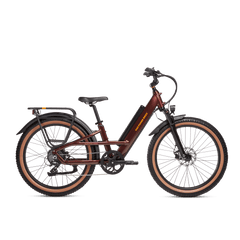 RadRunner 3 Plus Electric Utility Bike