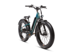 RadRover 6 Plus Electric Fat Tire Bike