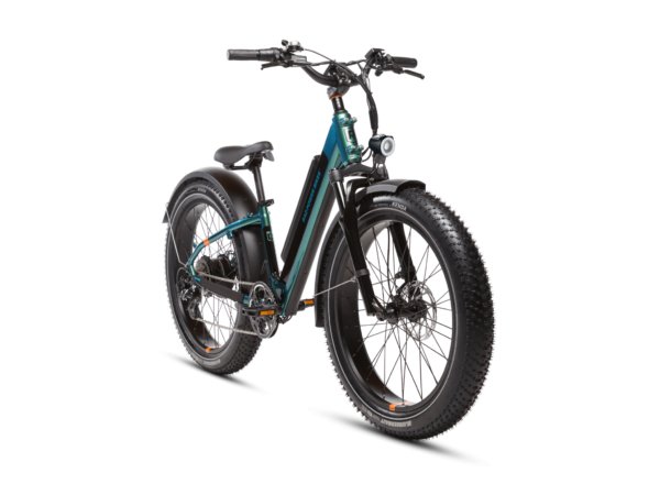 RadRover 6 Plus Electric Fat Tire Bike