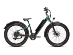 RadRover 6 Plus Electric Fat Tire Bike