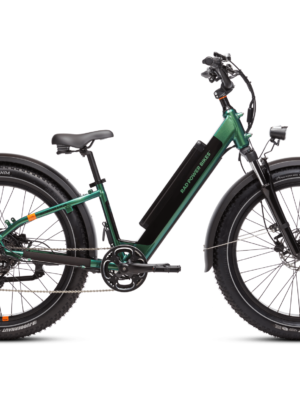 RadRover 6 Plus Electric Fat Tire Bike