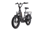 RadRunner 3 Plus Electric Utility Bike