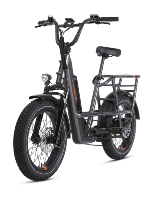 RadRunner 3 Plus Electric Utility Bike