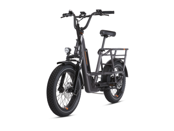 RadRunner 3 Plus Electric Utility Bike