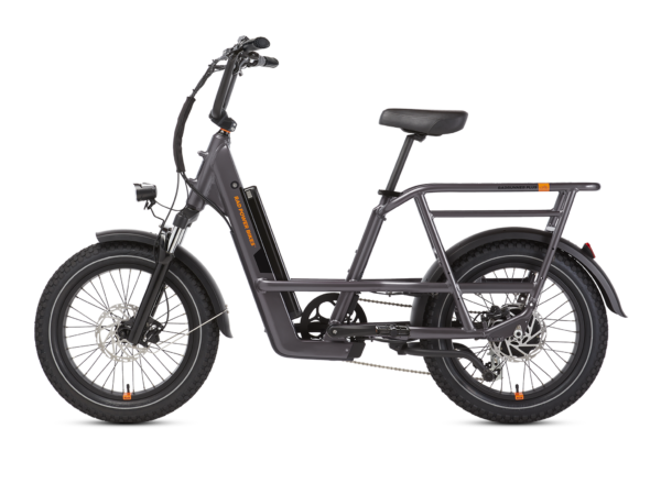 RadRunner 3 Plus Electric Utility Bike