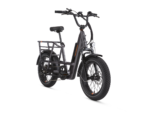 RadRunner 3 Plus Electric Utility Bike