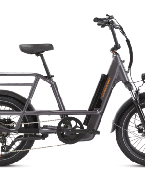 RadRunner 3 Plus Electric Utility Bike